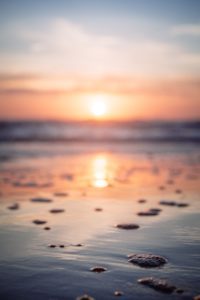 Beach at sunset